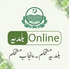 Baldia Online APK icon